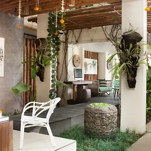 Grandmas 3*, Seminyak Indonésie
