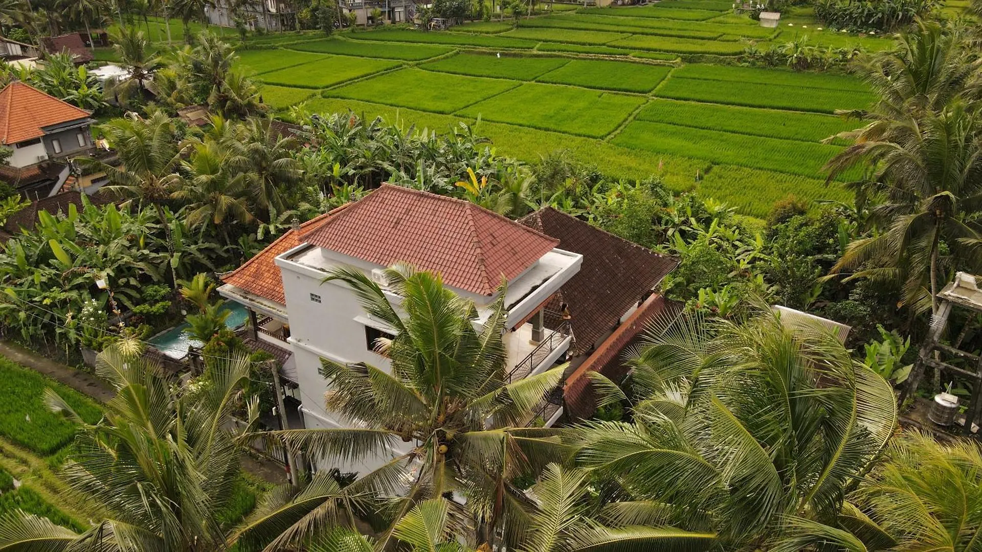 Nirwa 1 Ubud Guesthouse 0*, Ουμπούντ Ινδονησία